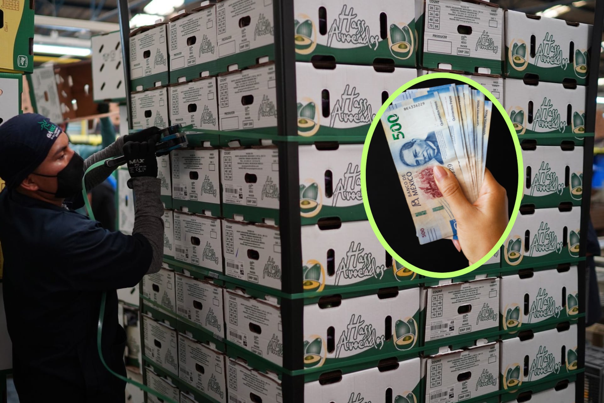 Cumbres: El oscuro recuerdo de Erika Peña Coss y Diego Santoy a 18 años ...