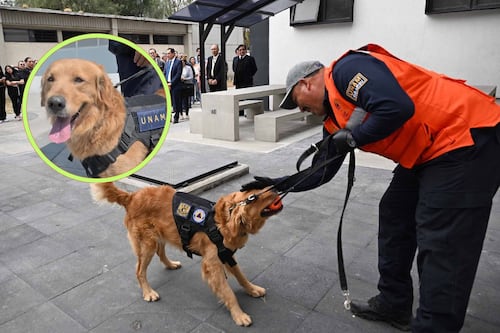 UNAM suma nuevos “héroes de cuatro patas”, refuerza estrategia de protección civil