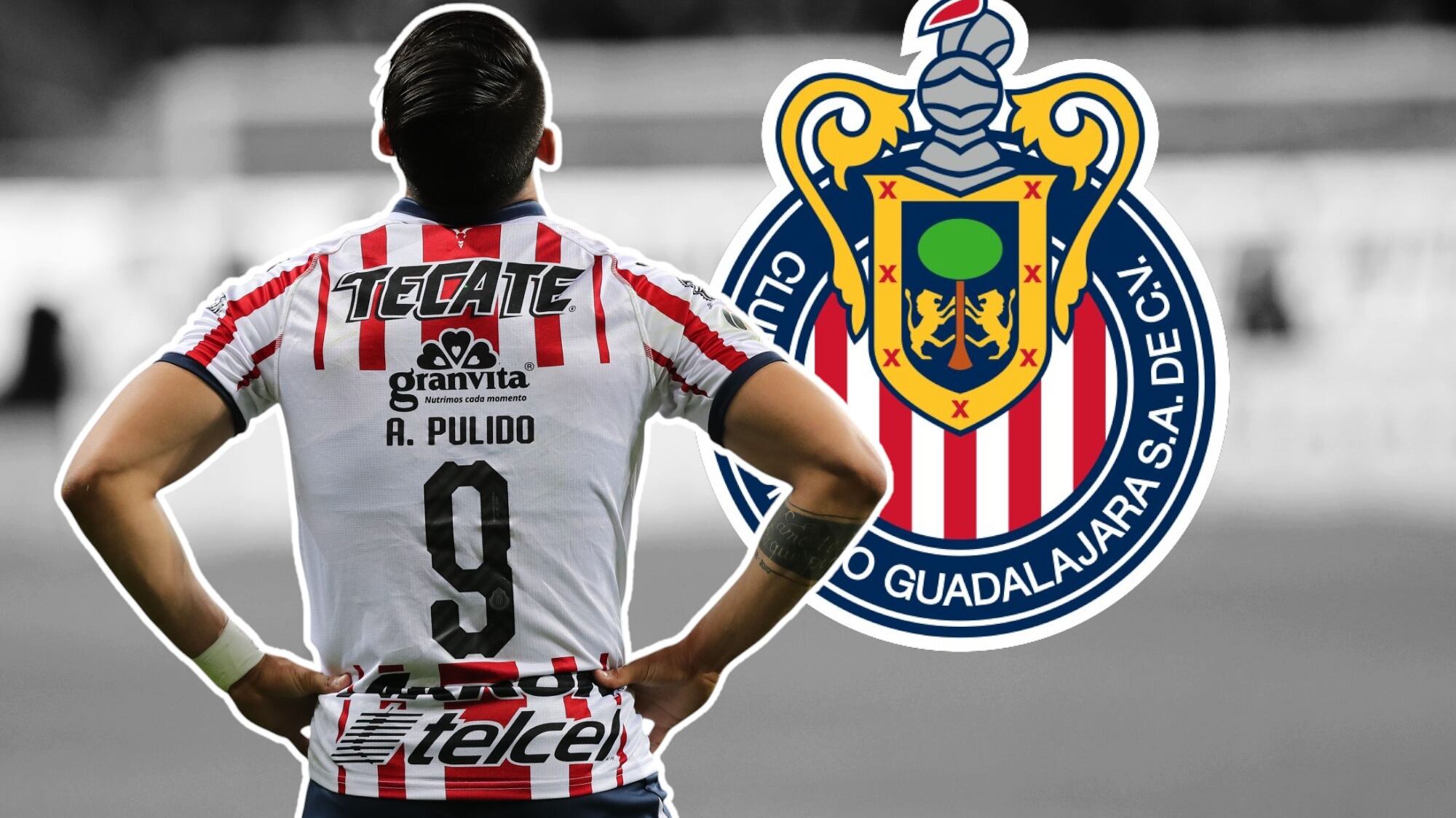 Alan Pulido polémicas