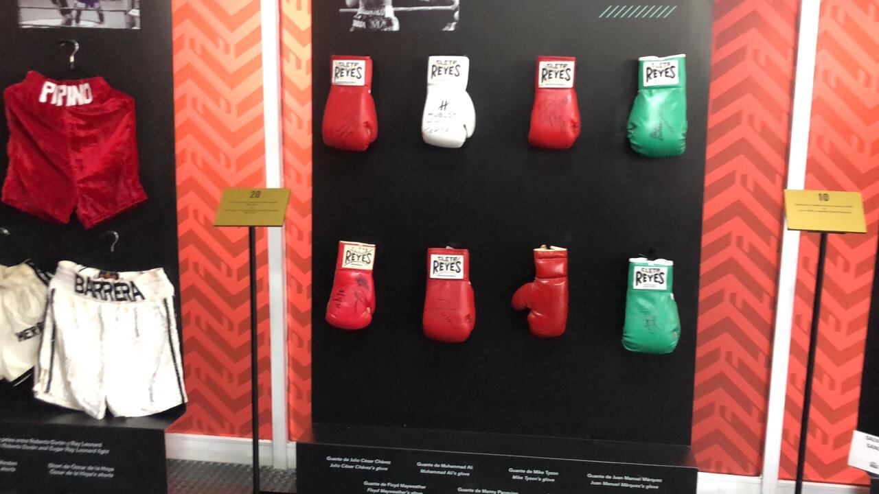 La exposición Verde y Oro se encuentra en el Salón Futurama de la alcaldía Gustavo A. Madero.