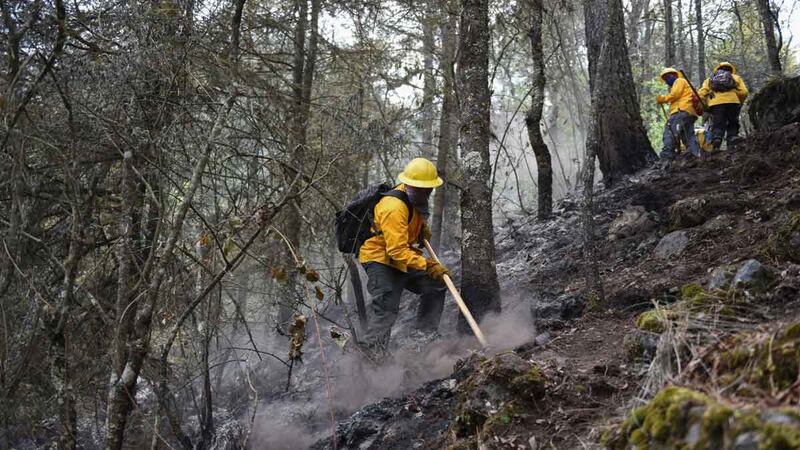 incendios forestales