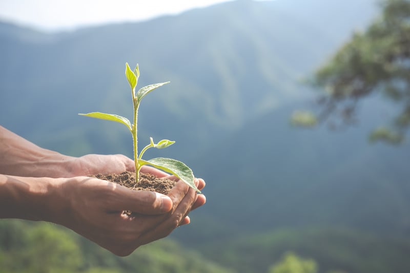Inspirado en las Climate Weeks globales, este evento conectará a comunidades, juventudes, academia, empresas y gobierno en un mismo espacio