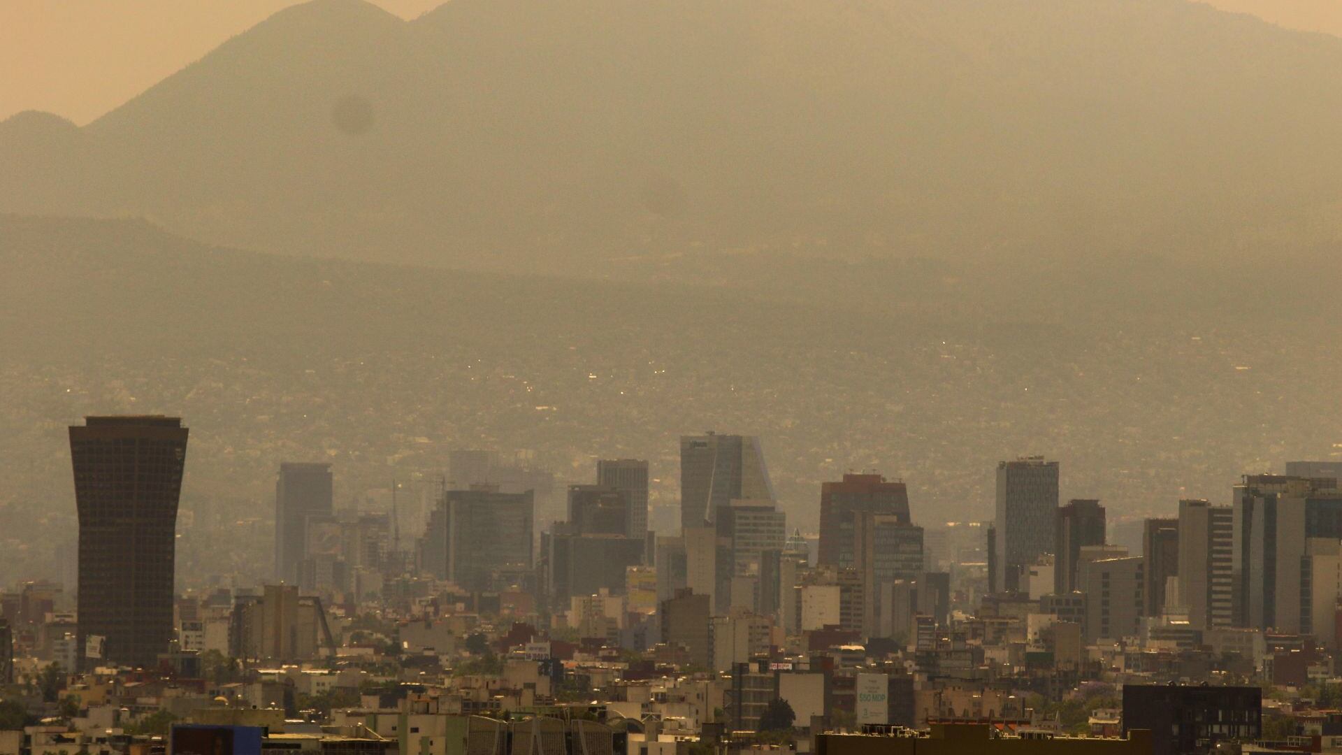 Ecoansiedad, padecimiento en crecimiento en las grandes ciudades