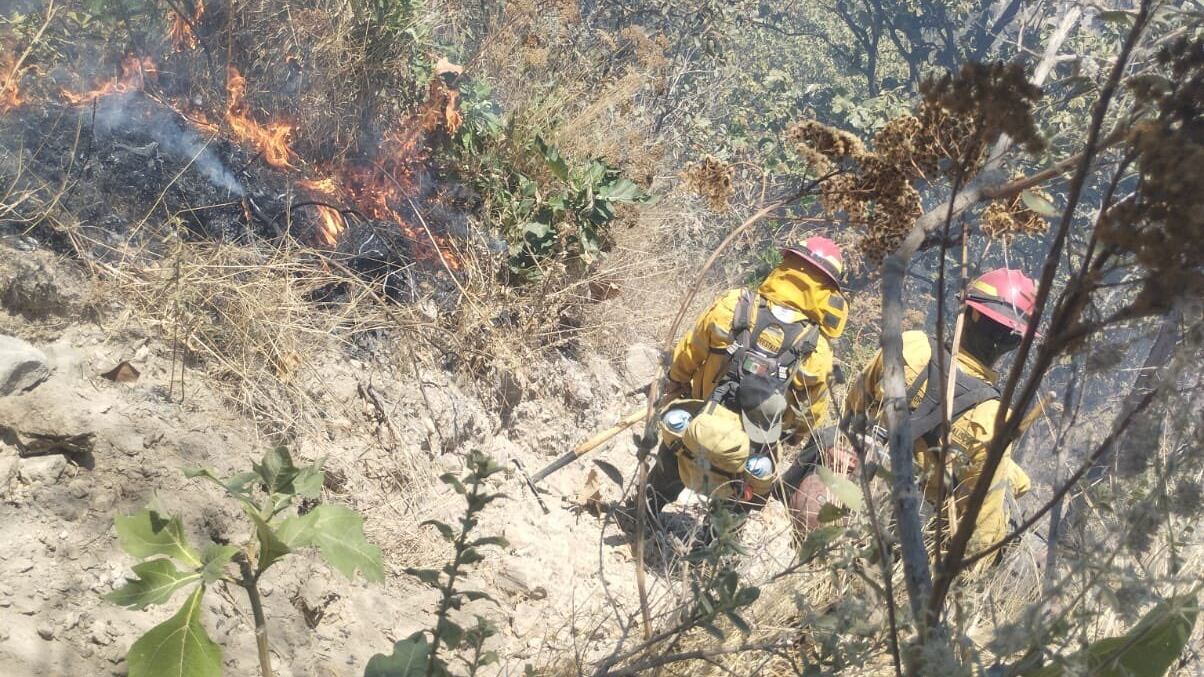 Combate de llamas por parte de bomberos.
