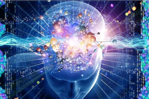 La ciencia del comportamiento está transformando los negocios: experto