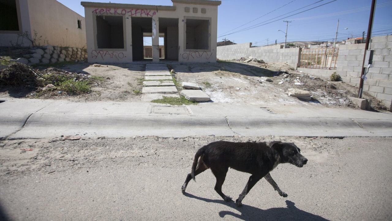 Ciudadanos abandonan 30 mil casas por incumplimiento de desarrolladores y por inseguridad.