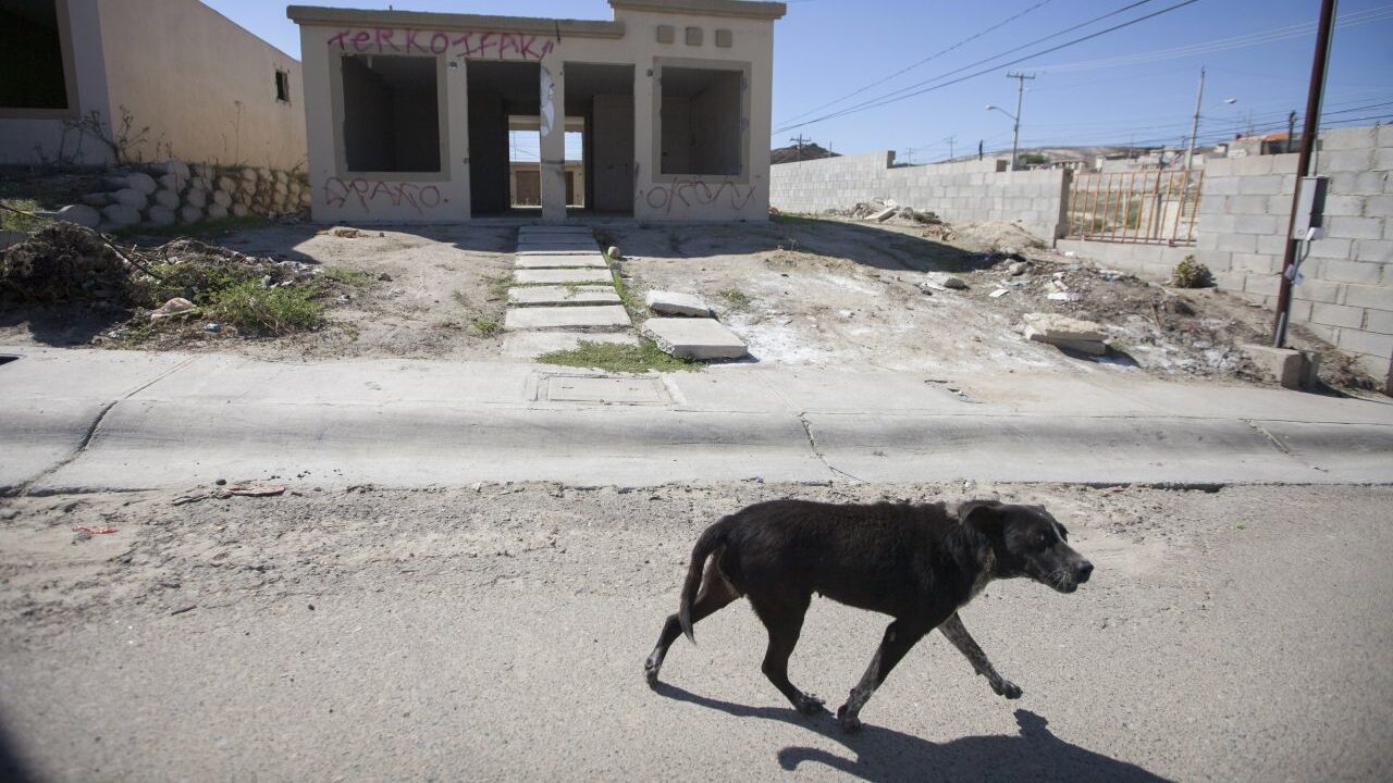 Ciudadanos abandonan 30 mil casas por incumplimiento de desarrolladores y por inseguridad.