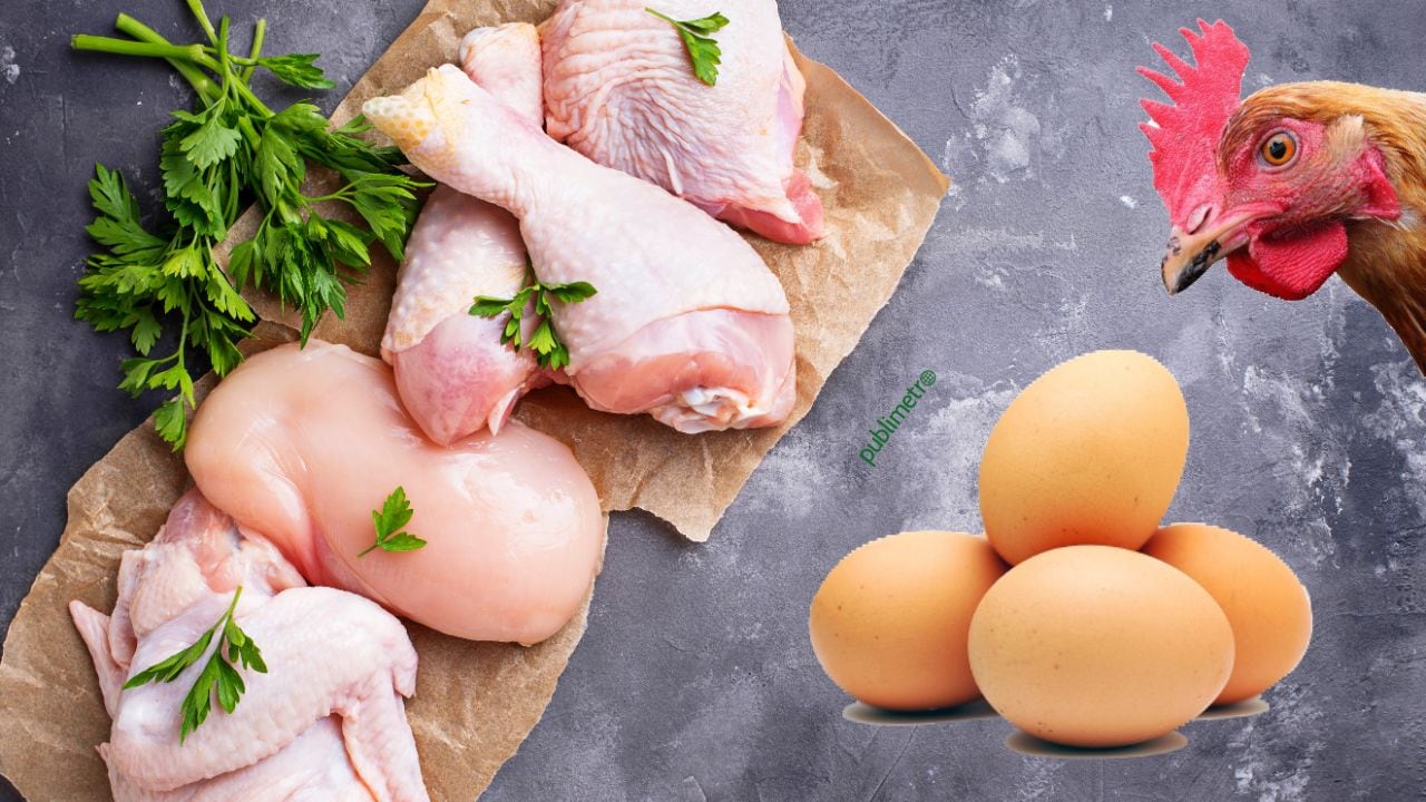 Gripe aviar H5N2: ¿Es seguro consumir pollo y huevo en México?