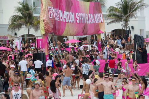Springbreakers: ¿Turismo de jícama?