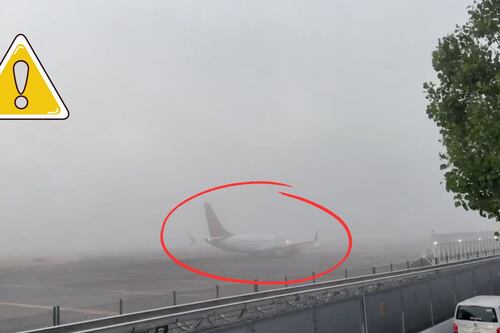 ¿AICM canceló despegues y aterrizajes por niebla hoy? Consulta el estatus de tu vuelo