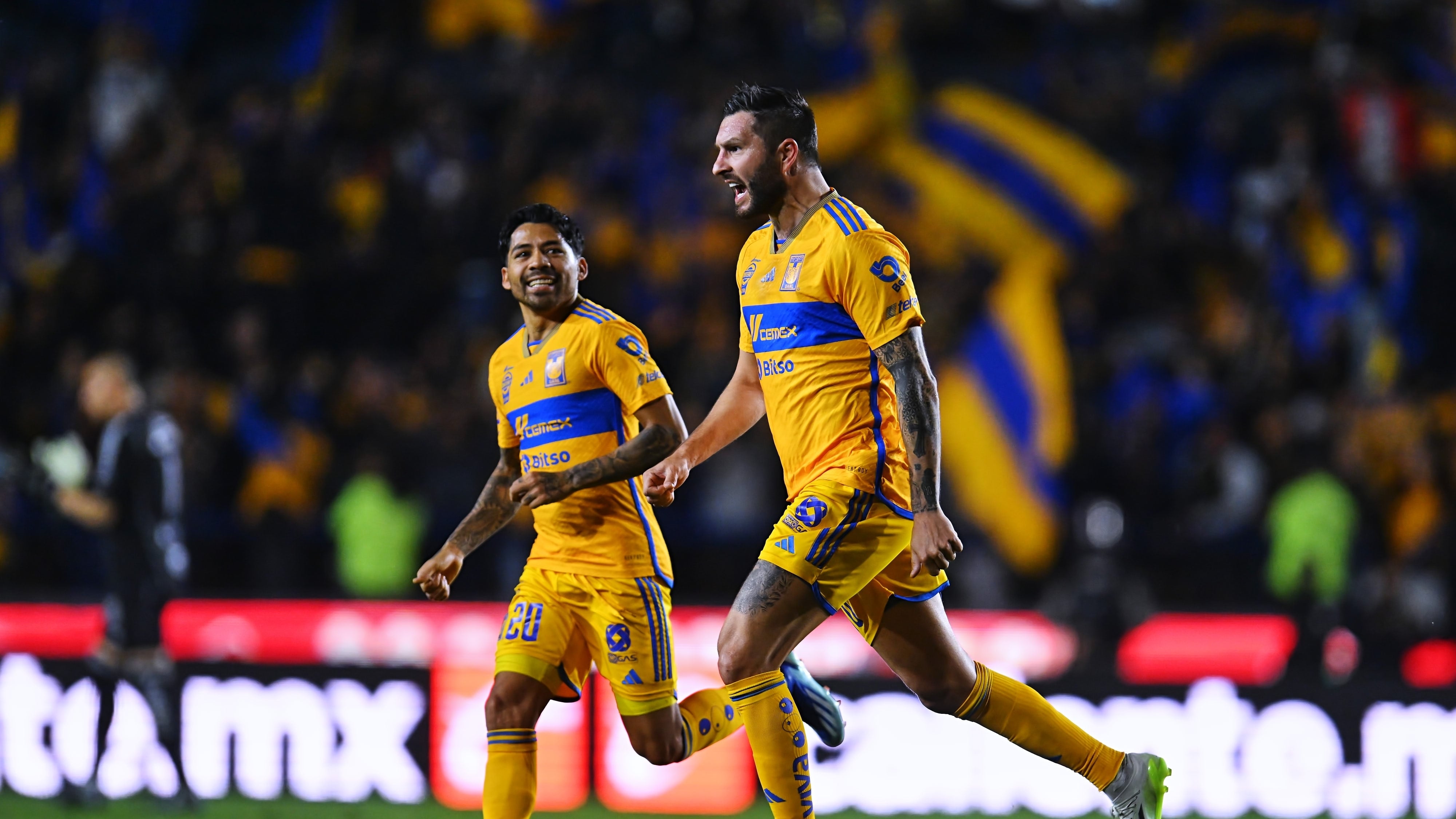 Tigres