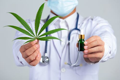 Los diferentes compuestos derivados de cannabis que benefician la salud