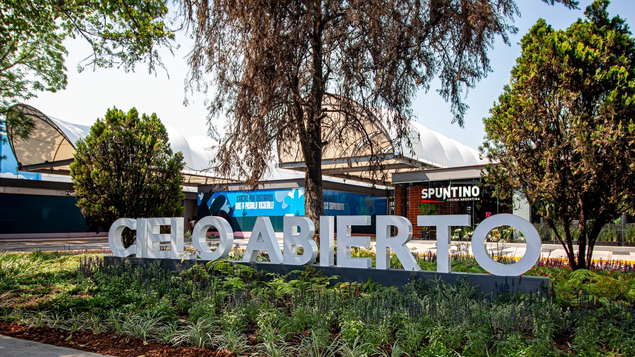 Plaza Cielo Abierto en Coyoacán.