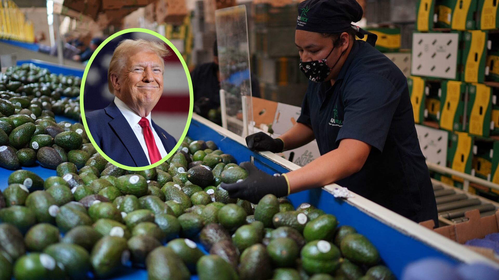 México es el país más vulnerable de América Latina a las amenazas económicas de Trump, porque 84% de sus exportaciones van a EU.