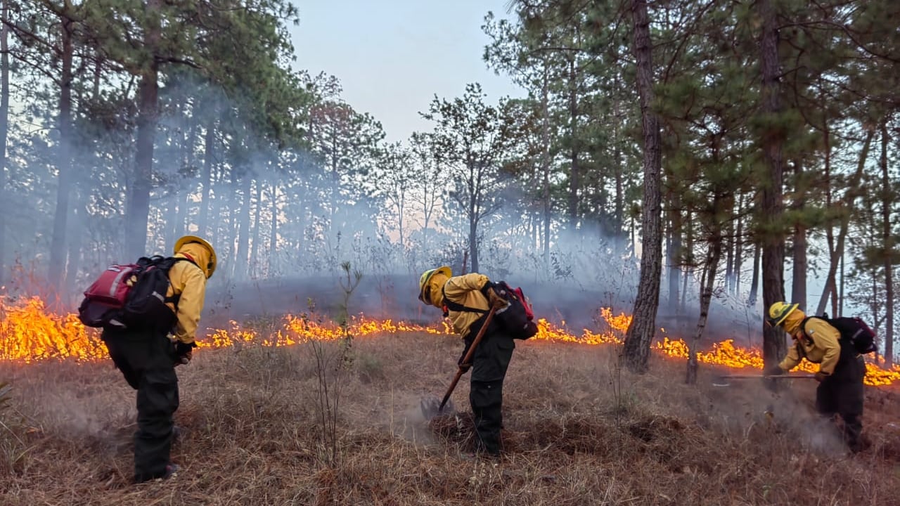 Con tecnología se busca detectar los focos de calor a nivel nacional y así dar una asistencia temprana para evitar incendios forestales