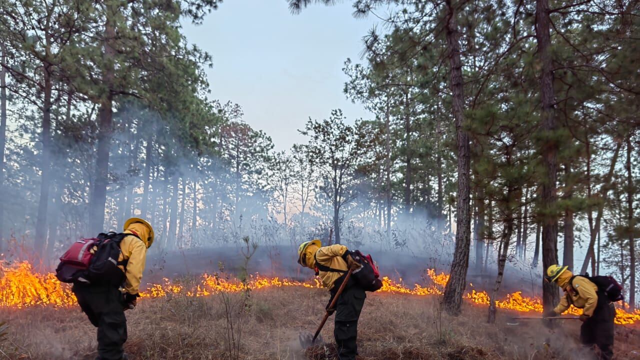 Con tecnología se busca detectar los focos de calor a nivel nacional y así dar una asistencia temprana para evitar incendios forestales