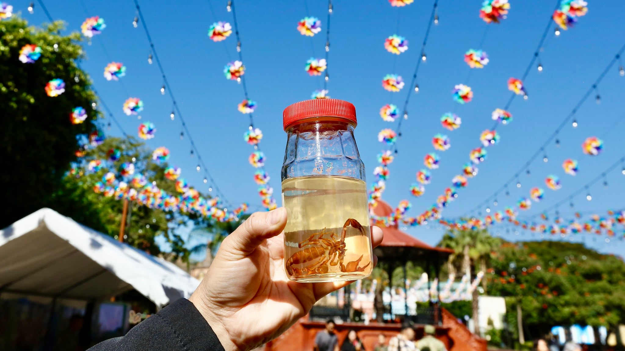 IMAGEN ILUSTRATIVA/ GOBIERNO DE JALISCO