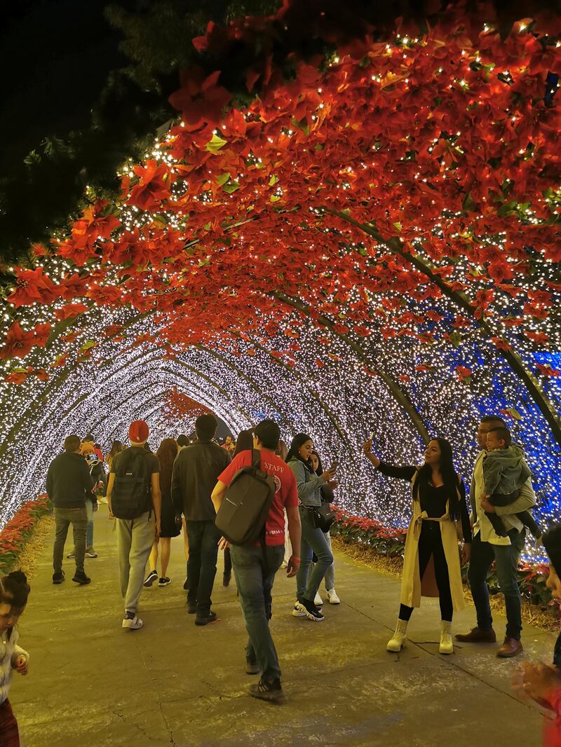 La tercera edición del festival de invierno inició en el Parque Ávila Camacho.