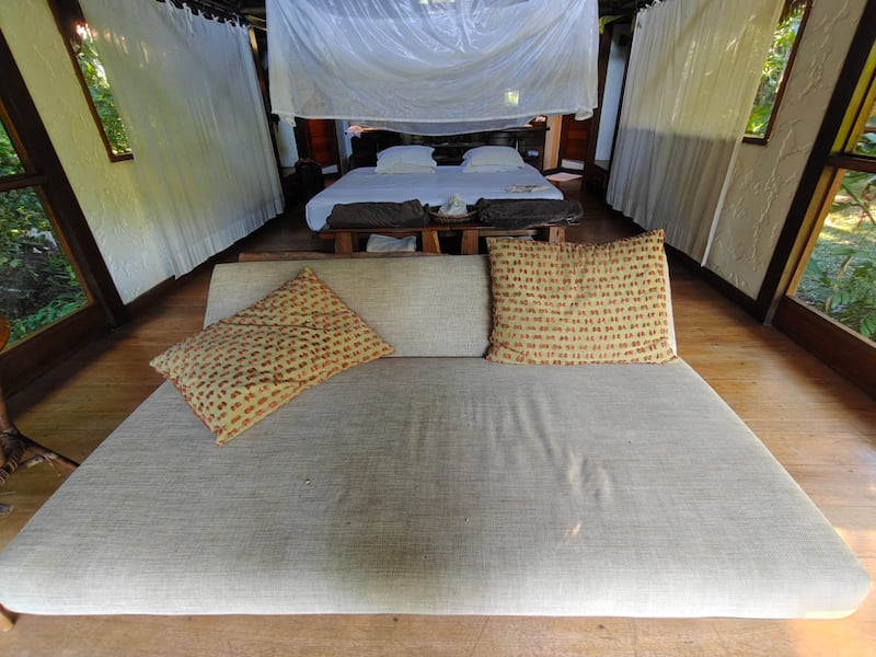 Desde Lima hasta Puerto Maldonado, te contamos cómo vivir una experiencia inmersiva en la selva amazónica. Hospedaje, gastronomía local y los mejores tours para explorar ríos, lagos y canopy en uno de los destinos más biodiversos del mundo