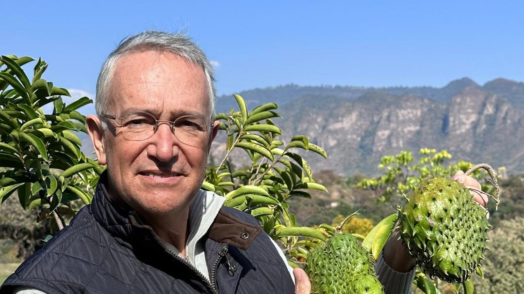 Tribunal Electoral discutirá medidas cautelares contra Salinas Pliego