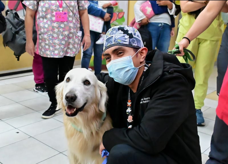 Pacientes pediátricos recibe terapias con perros