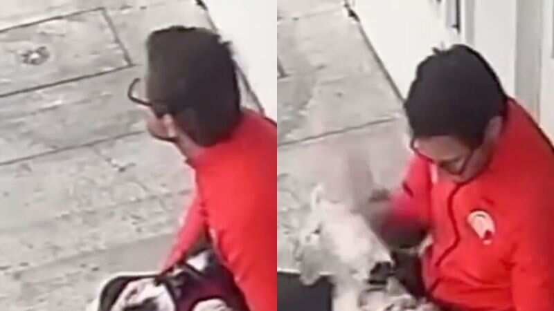 Hombre golpea en la cabeza a un perro, ‘se arrepiente’ y lo soba