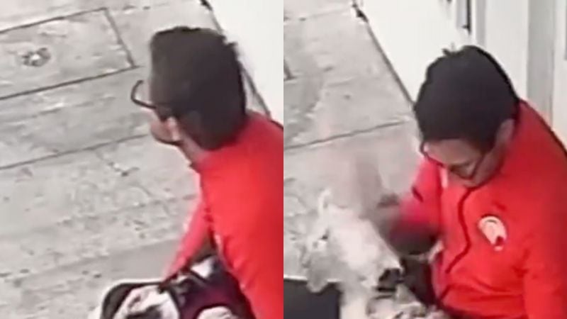 Hombre golpea en la cabeza a un perro, ‘se arrepiente’ y lo soba