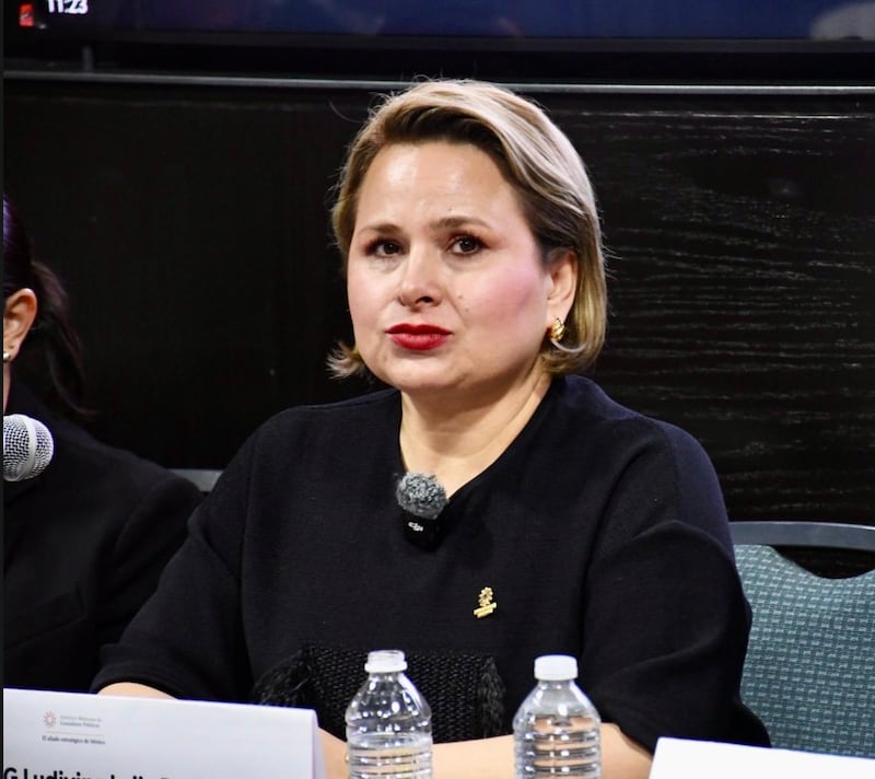 Ludivina Leija Rodríguez, presidenta del IMCP
