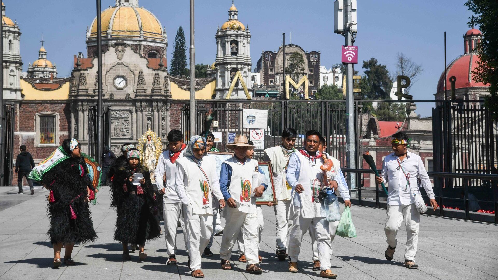 Operativo Basílica 2024: Seguridad y bienestar