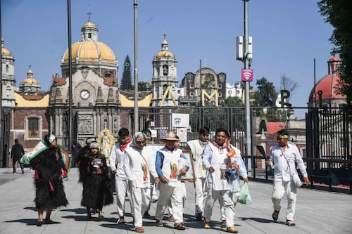 Operativo Basílica 2024: Seguridad y bienestar