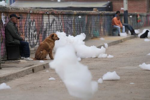 Video: Espuma de río contaminado ‘vuela’ por calles de Colombia