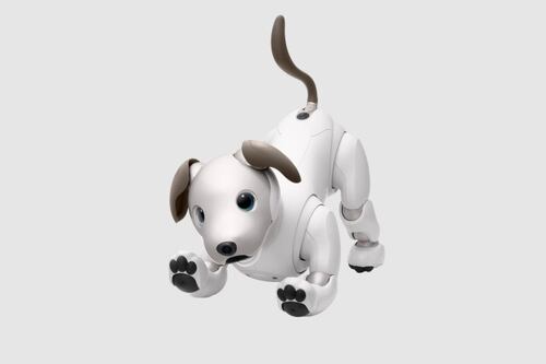 Crean un programa para adoptar perros robots y destinarlos al apoyo médico