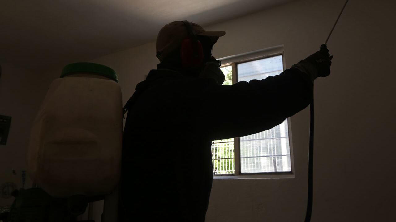 Fumigación para prevenir dengue.