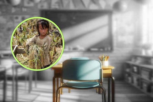 Rezago educativo: violencia y huracanes dejan fuera a 11 de cada 100 estudiantes