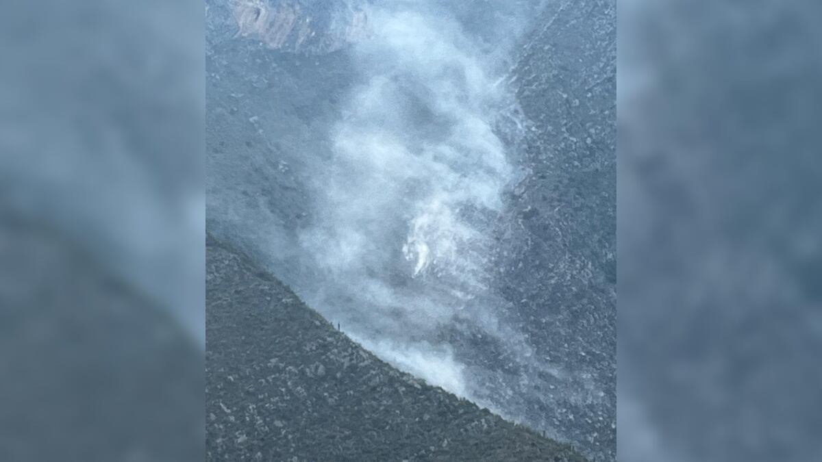 No se ha podido cuantificar el número de hectáreas dañadas.