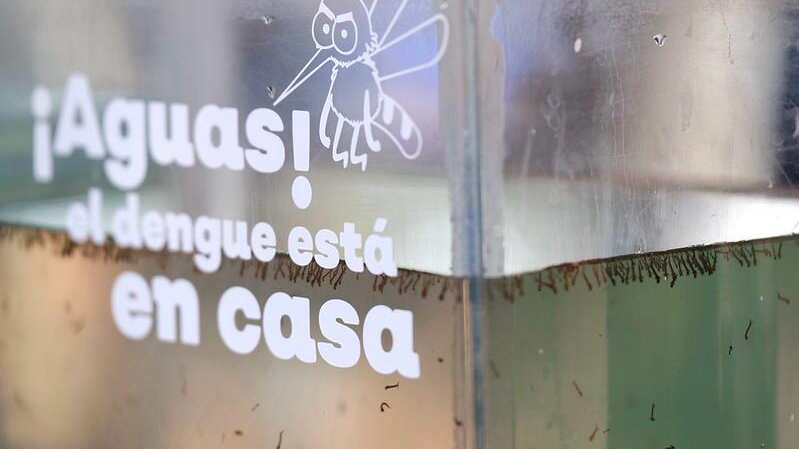 En Jalisco se han detectado cinco pacientes en los que se ha confirmado la coinfección por dos serotipos de dengue simultáneamente causados por los serotipos 1 y 3 o bien por los serotipos 2 y 3.