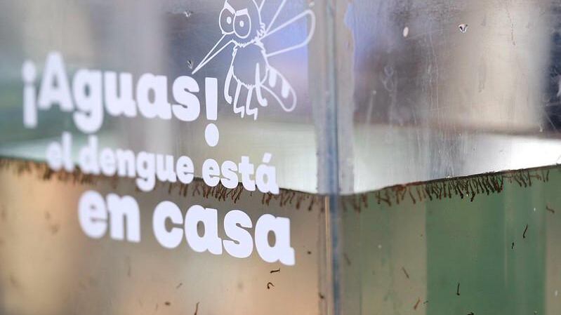 En Jalisco se han detectado cinco pacientes en los que se ha confirmado la coinfección por dos serotipos de dengue simultáneamente causados por los serotipos 1 y 3 o bien por los serotipos 2 y 3.