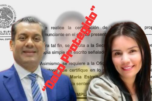 ¡Sí son 30! TEPJF obliga a Karla Estrella a disculparse con “Dato Protegido”; exhibe a Gutiérrez Luna