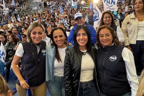 El PAN en SJR tiene perfiles competentes, pero no debe bajar la guardia, señala Liliana San Martín