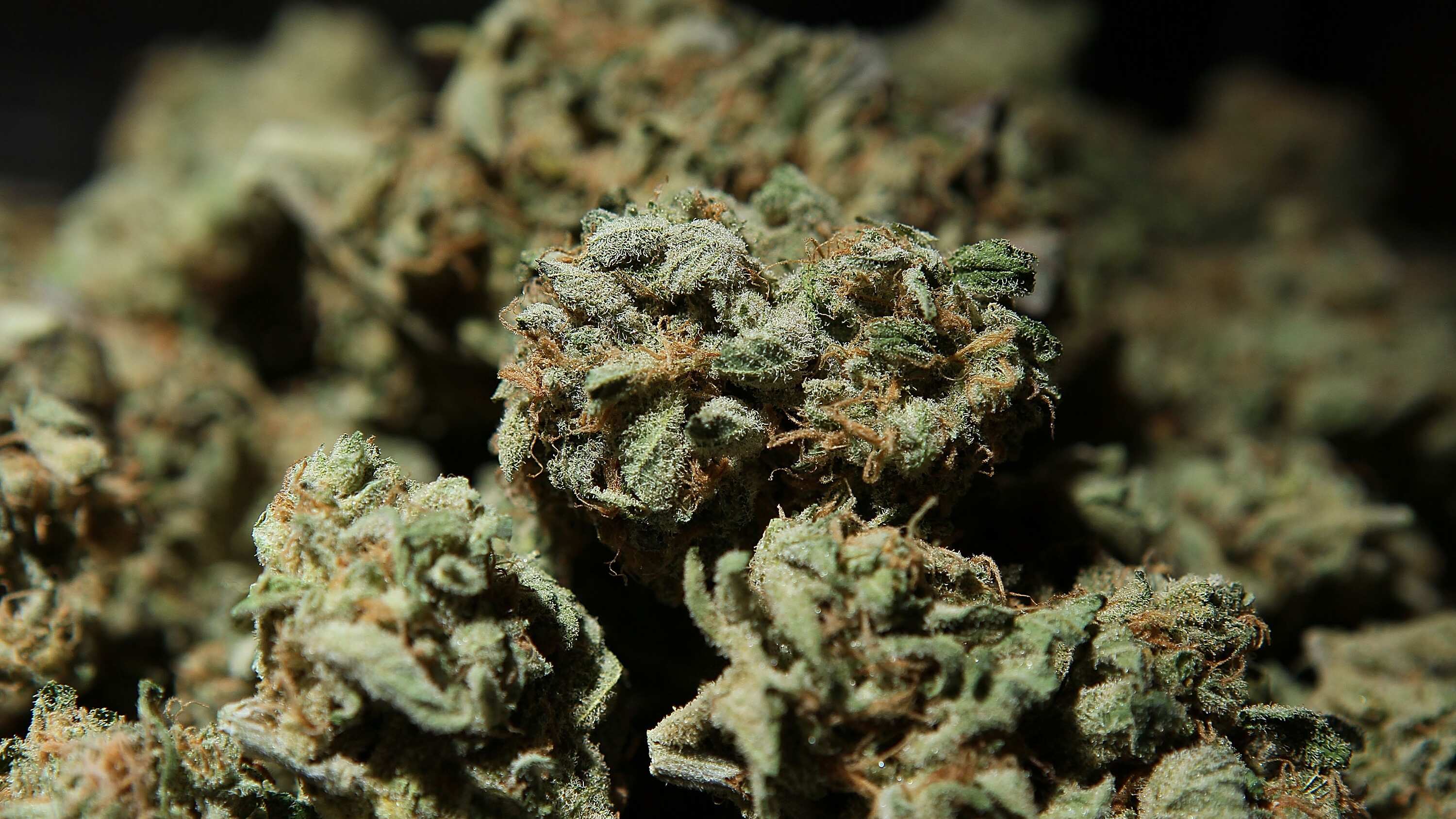 La hierba fue confiscada por elementos de la PGR