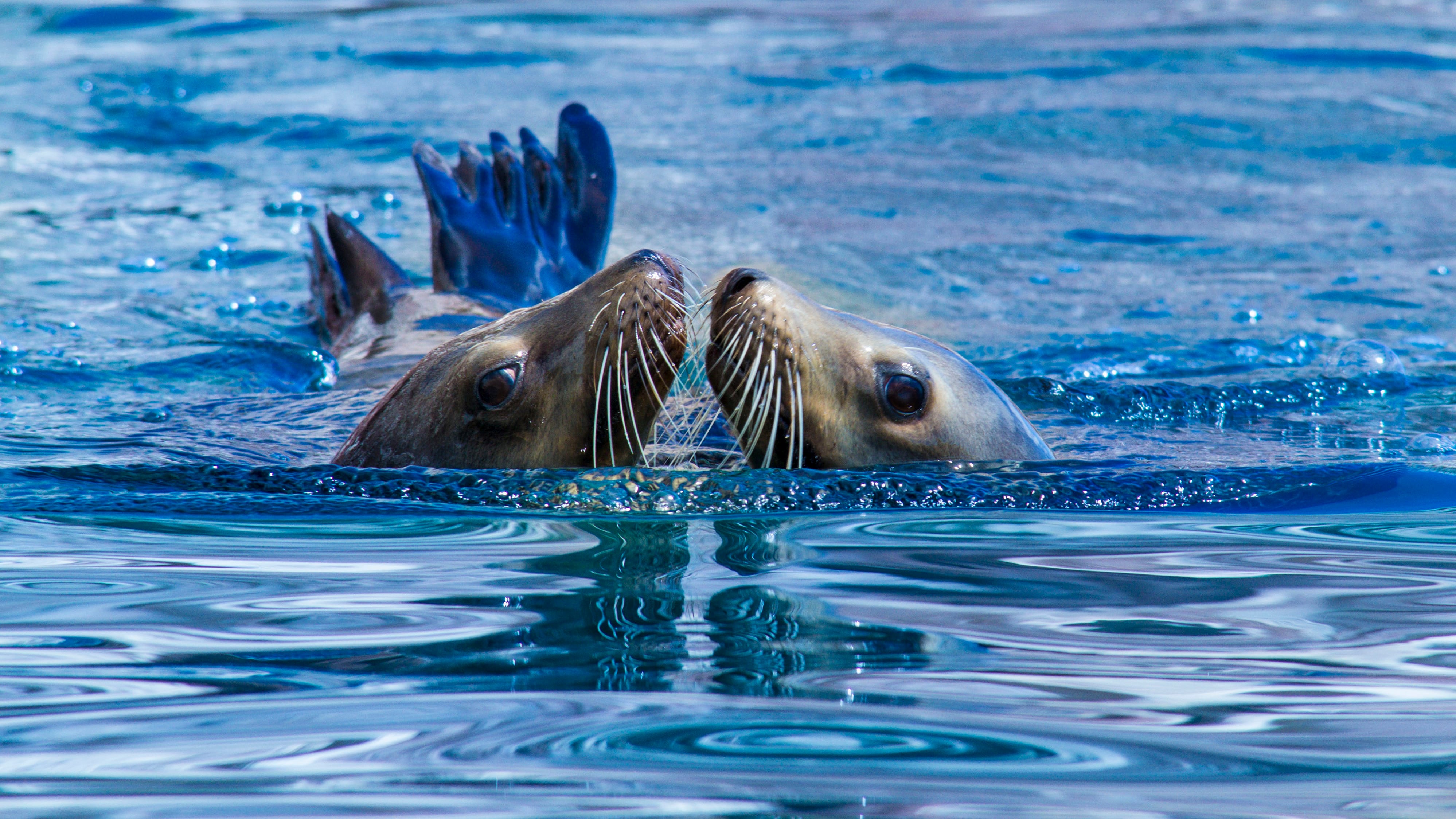 Tianguis Turístico 2026 La Paz