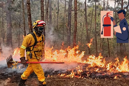 Incendios forestales en Jalisco dejan más de ocho mil 940 ha afectadas sólo durante abril