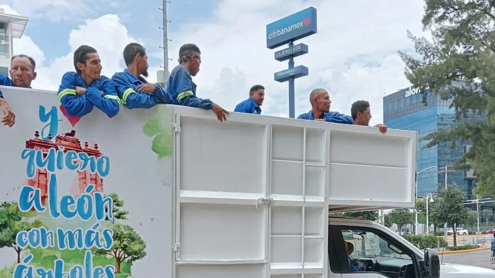 La meta es llegar a los 5 mil árboles.