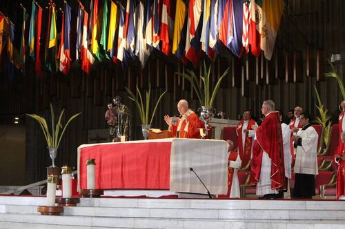 Semana Santa 2020: cómo seguir las misas en vivo desde Internet