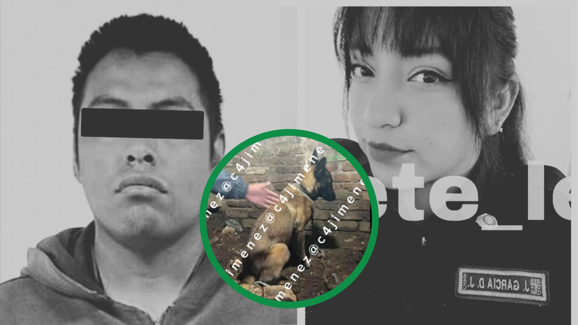 El presunto feminicida es un exelemento policiaco, destituido meses antes, y fue detenido en el mismo domicilio donde habría ocultado el cuerpo.