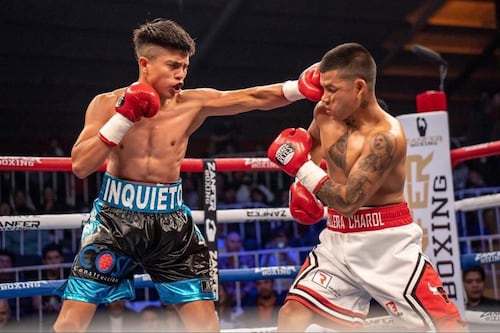 Boxeo profesional regresa a Querétaro