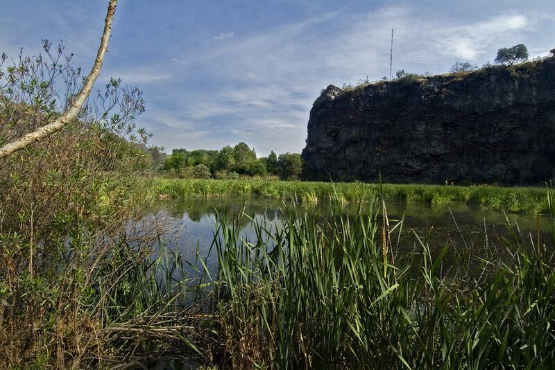 Biodiversidad en el planeta