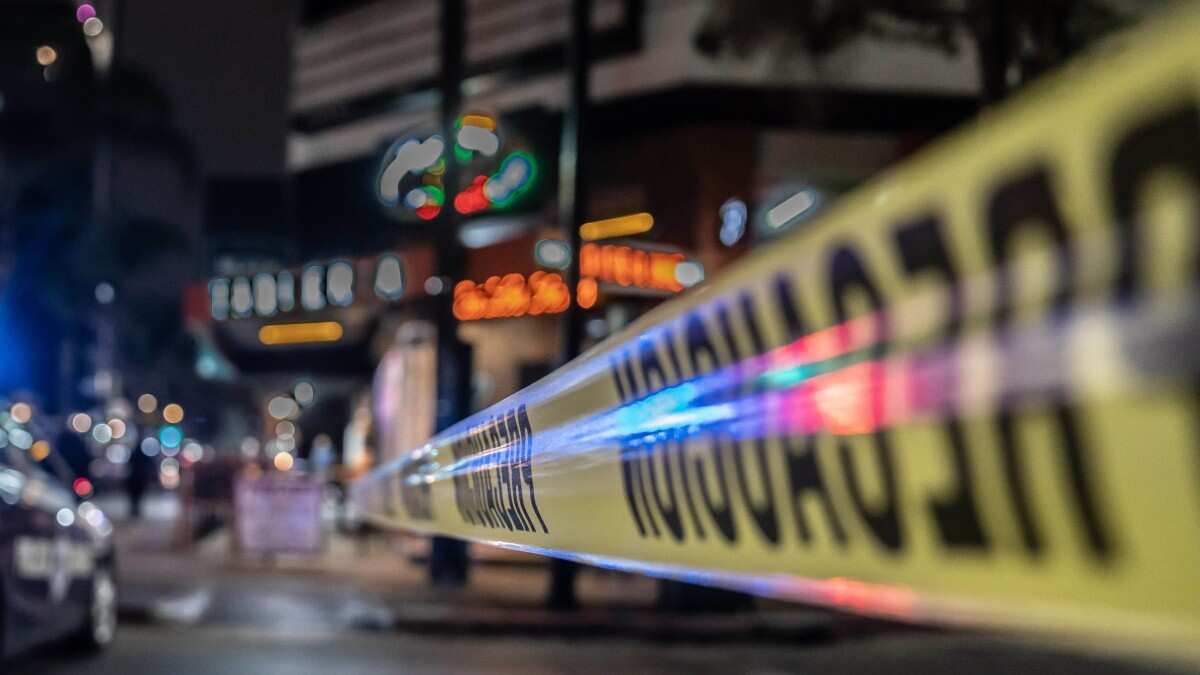 Violencia Estados Empresarios