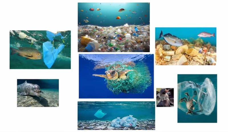 Contaminación ríos y mares