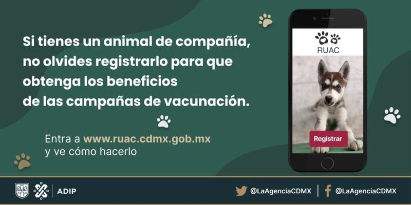 Animal de compañía registro